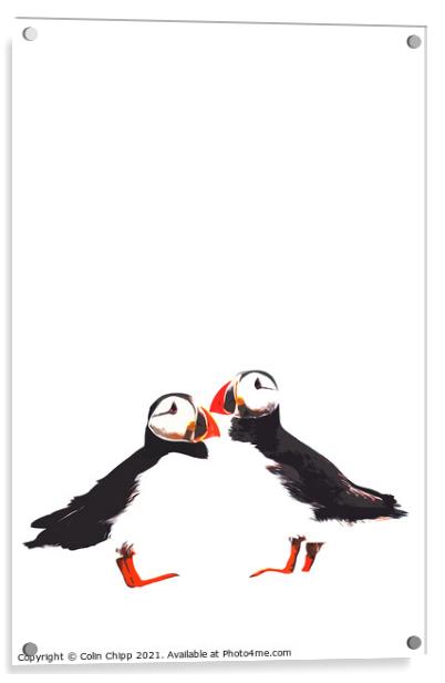 Stylised puffins Acrylic by Colin Chipp