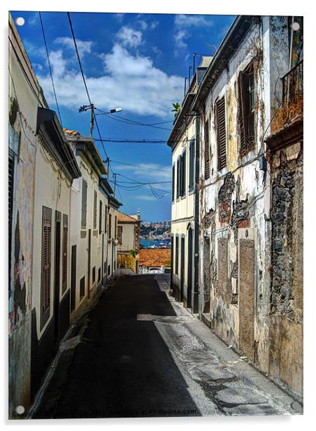 Funchal street Acrylic by Colin Chipp
