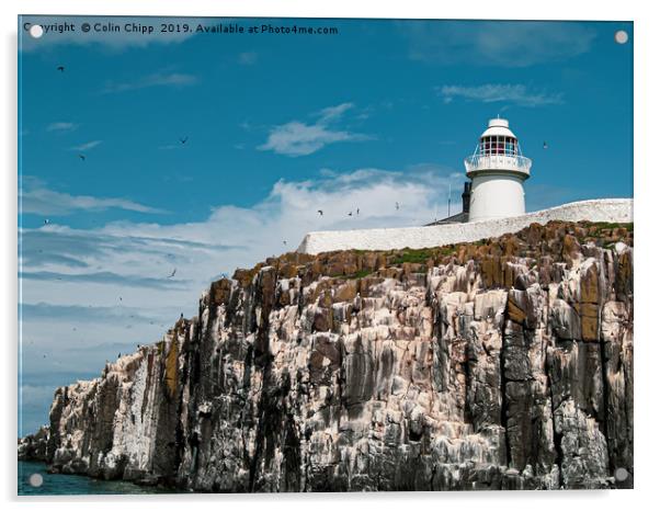 Lighthouse on Inner Farne Acrylic by Colin Chipp