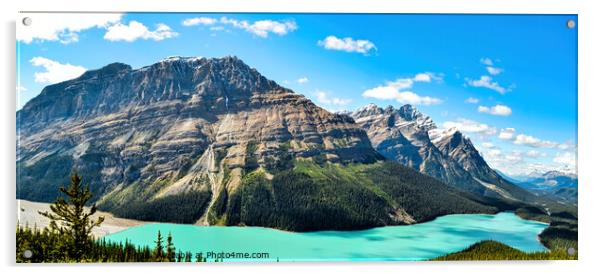 Peyto Lake Acrylic by Colin Chipp