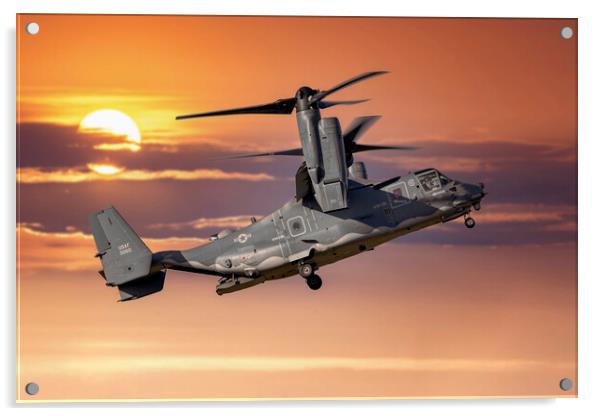 USAF CV-22B Osprey at Sunset Acrylic by Derek Beattie
