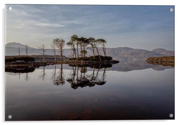 Loch Assynt Reflections Acrylic by Derek Beattie