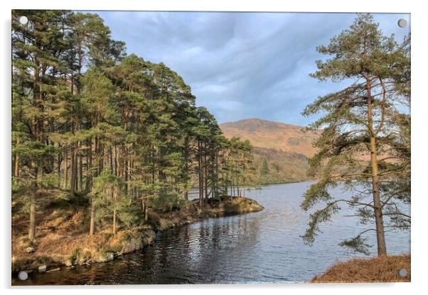 Loch Trool Acrylic by Derek Beattie