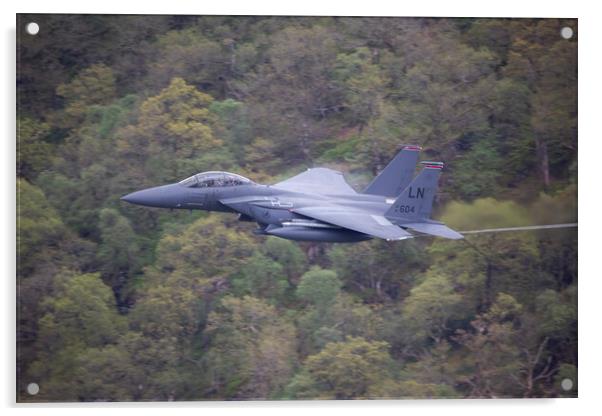 F15E Strike Eagle Low Level Lake District Acrylic by Derek Beattie