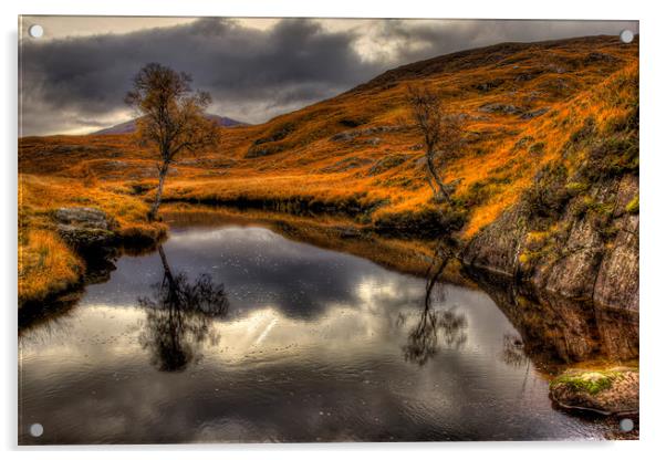 Scotttish Highland River in Autumn Acrylic by Derek Beattie