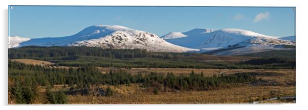 Merrick Mountain Scotland Acrylic by Derek Beattie