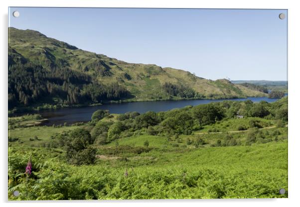 Loch Trool Glentrool Scotland Acrylic by Derek Beattie
