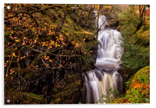 Buchan Falls Glentrool Scotland Acrylic by Derek Beattie