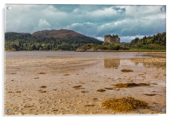 Castle Tioram Scotland Acrylic by Derek Beattie