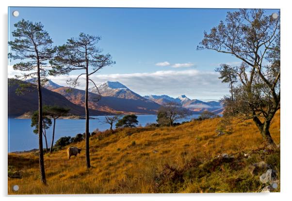 Loch Quoich and the Knoydart Mountans Acrylic by Derek Beattie
