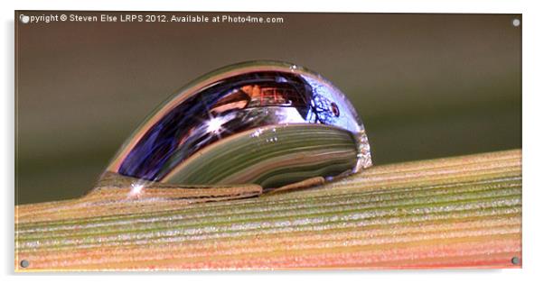 Water Droplet Acrylic by Steven Else ARPS