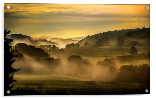 Early Morning in the Ardennes Acrylic by Steven Else ARPS