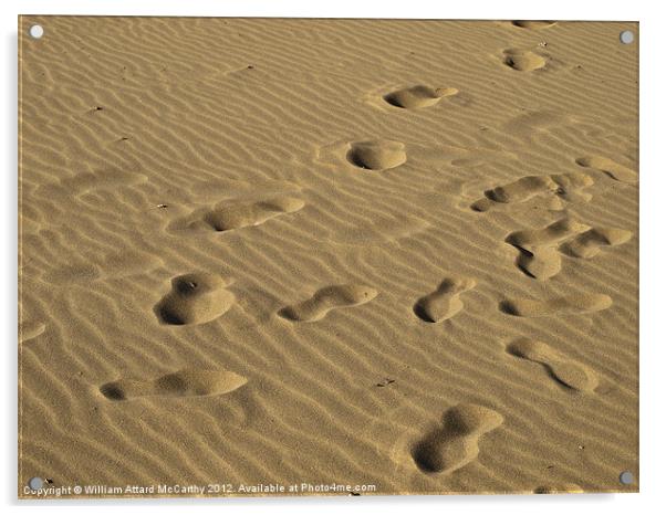 Footsteps in the Sand Acrylic by William AttardMcCarthy