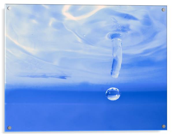 OH! H2O! Acrylic by William AttardMcCarthy