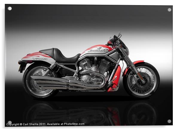 Harley Davidson Acrylic by Carl Shellis