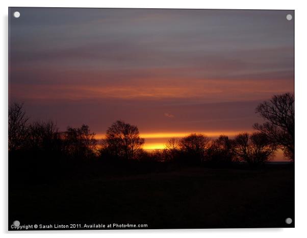 December Sunset Acrylic by Sarah Osterman