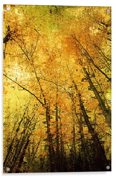 Autumn Colours Abstract IV Acrylic by Natalie Kinnear