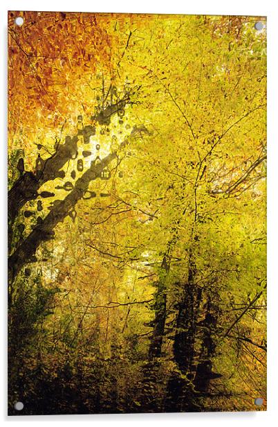 Autumn Colours Abstract I Acrylic by Natalie Kinnear
