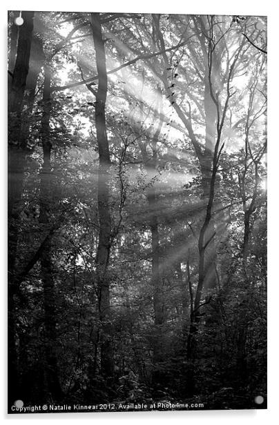 Sunrays Through the Trees in Black and White Acrylic by Natalie Kinnear