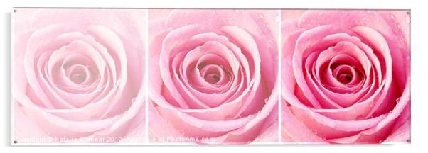 Pink Rose Triptych Acrylic by Natalie Kinnear