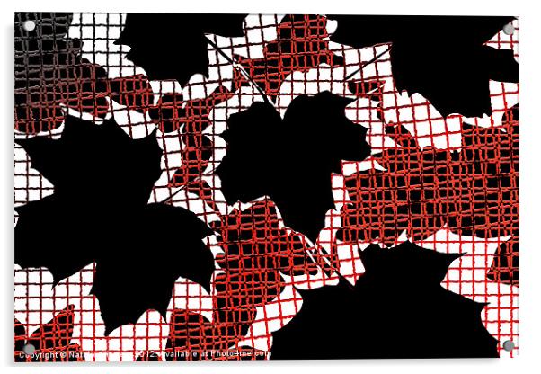 Abstract Leaf Pattern - Black White Red Acrylic by Natalie Kinnear