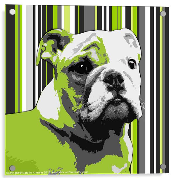 English Bulldog Puppy Abstract Acrylic by Natalie Kinnear