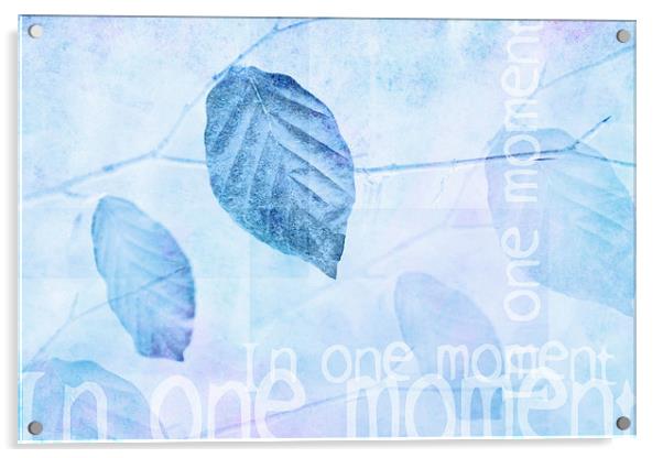 Leaves in Pastel Blue Contemporary Art Print Acrylic by Natalie Kinnear