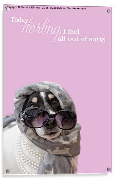 Funny Dog and Text Poster - Dog Wearing Headscarf, Acrylic by Natalie Kinnear