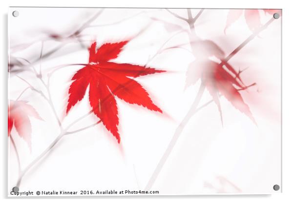 Maple Leaf Abstract 2 Acrylic by Natalie Kinnear