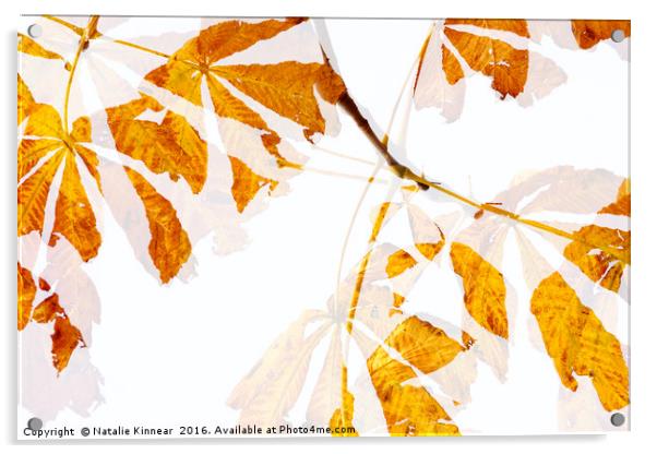 Autumn Leaves Abstract Acrylic by Natalie Kinnear