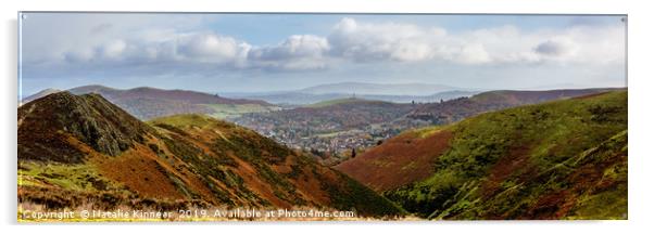 The Long Mynd Shropshire England Acrylic by Natalie Kinnear