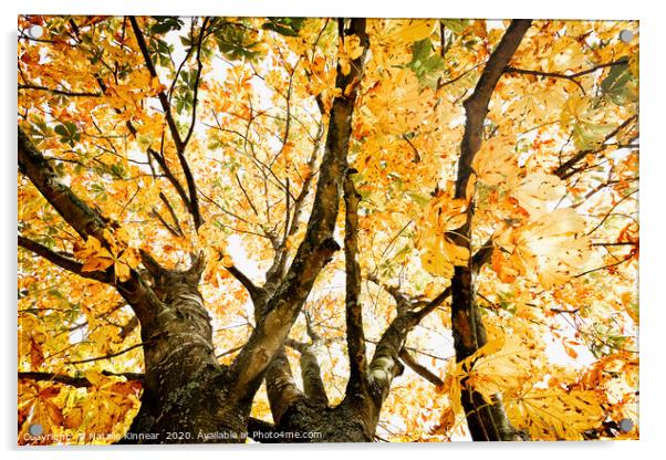 Autumn Trees Abstract Acrylic by Natalie Kinnear