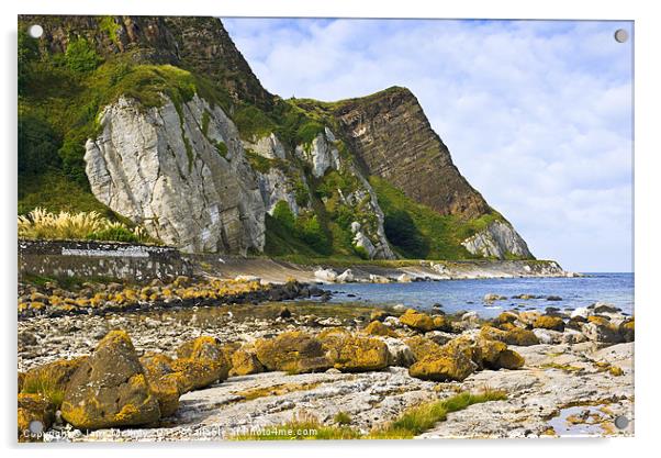 Antrim Coast, Northern Ireland Acrylic by Jane McIlroy