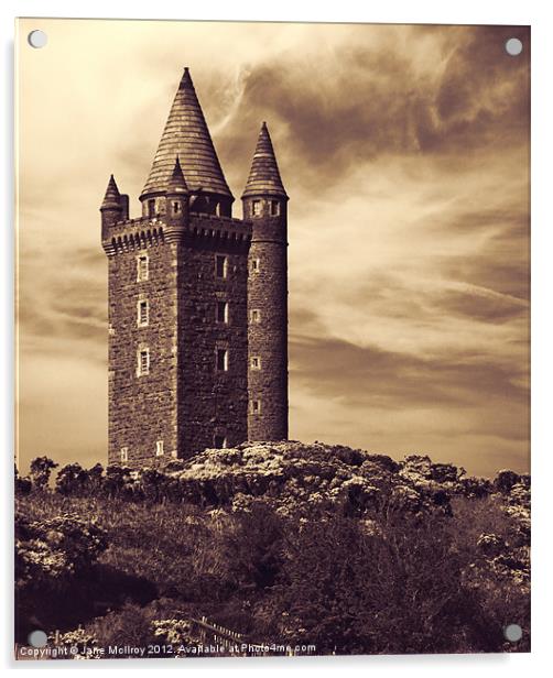 Scrabo Tower, Newtownards, County Down Acrylic by Jane McIlroy