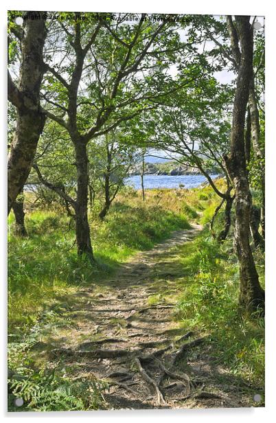 Woodland Path - Killarney Acrylic by Jane McIlroy