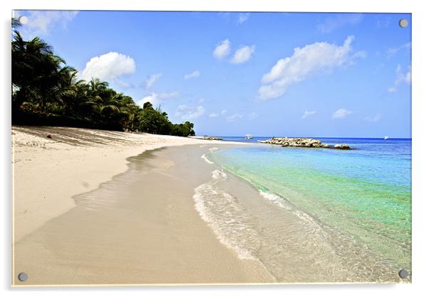 Barbados beach Acrylic by steve akerman