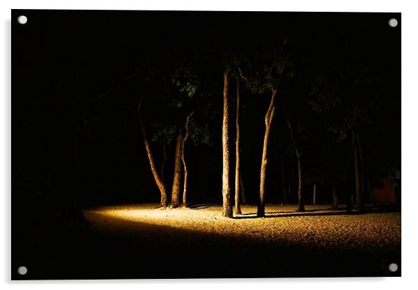 Barbados beach at night Acrylic by steve akerman