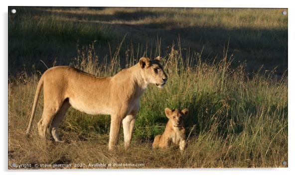 A lioness with her cub at sunrise. Acrylic by steve akerman
