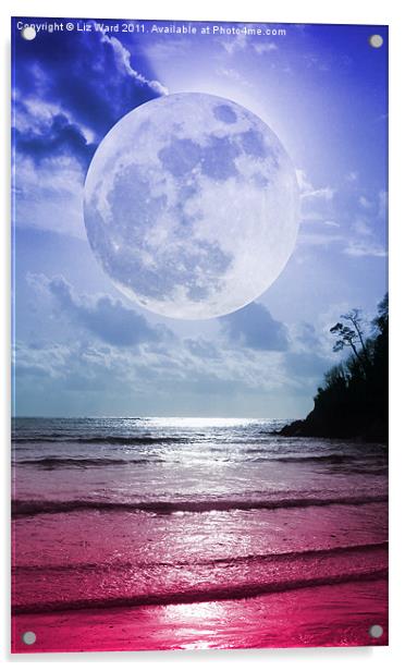Crimson Moonlight Acrylic by Liz Ward