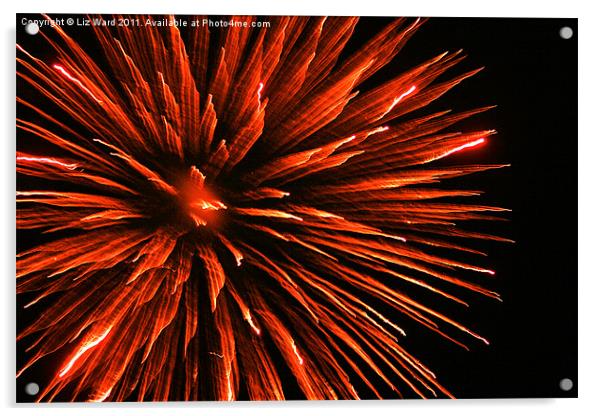 Firework delight Acrylic by Liz Ward