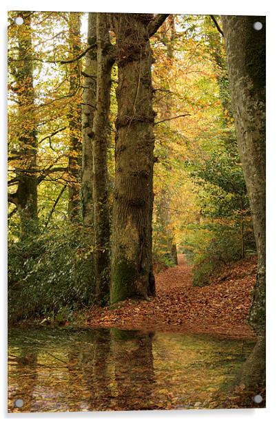 Autumn Path Acrylic by Liz Ward