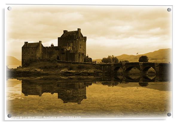 Eilean Donan Castle Acrylic by Liz Ward