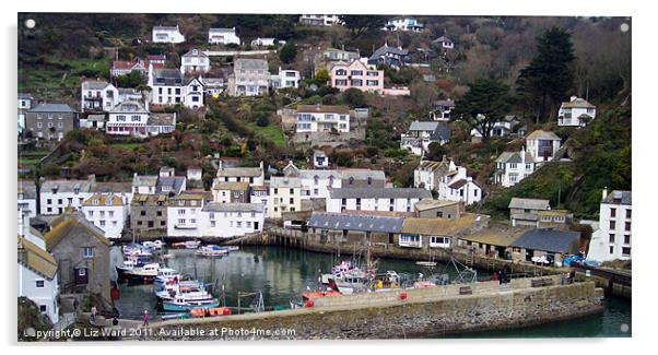 Polperro Harbour Acrylic by Liz Ward