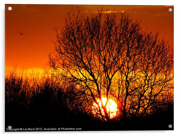 Sunset Tree Acrylic by Liz Ward