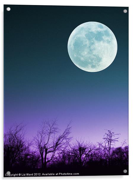 Once in a Blue Moon Acrylic by Liz Ward