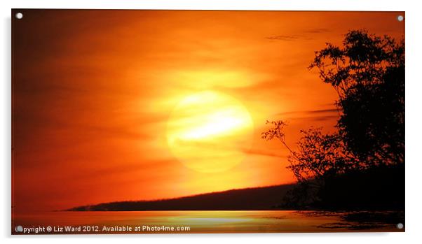 Sunset reflection Acrylic by Liz Ward