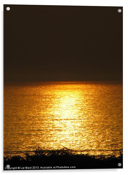 Golden Woolacombe Waves Acrylic by Liz Ward