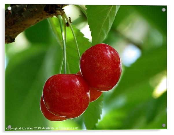 Cherry Red Acrylic by Liz Ward