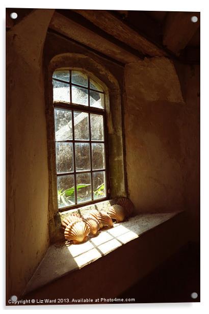 Sunny Window Acrylic by Liz Ward