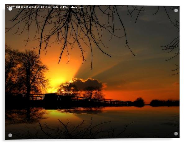 Sunset Reflection Acrylic by Liz Ward